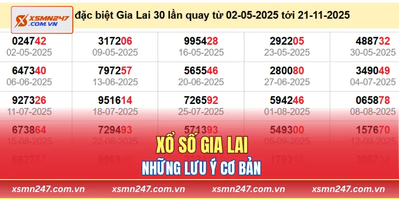 Những lưu ý cơ bản giúp tra cứu xổ số Gia Lai chính xác